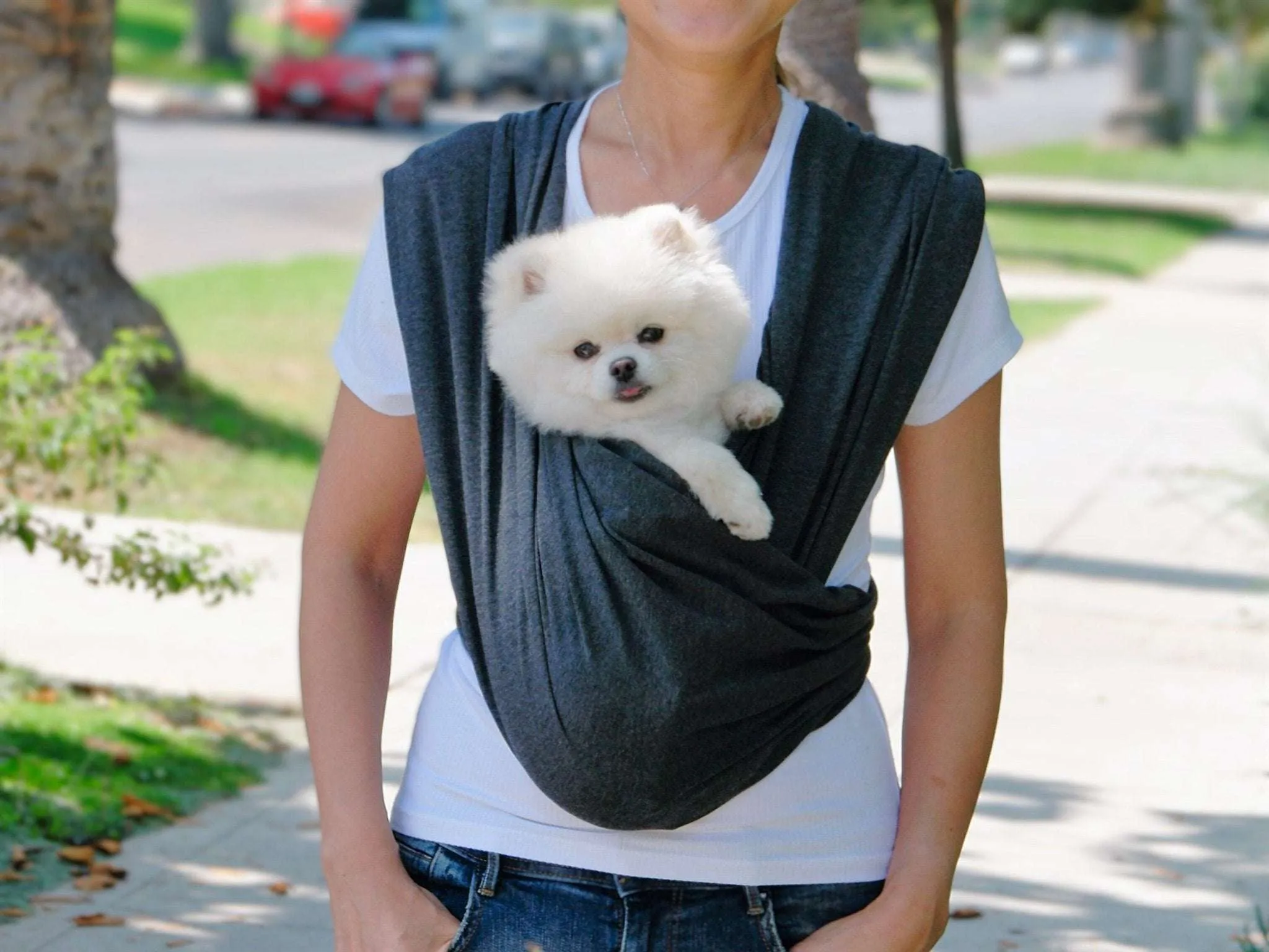 Pet wrap sling carrier convertible, with ergonomic design